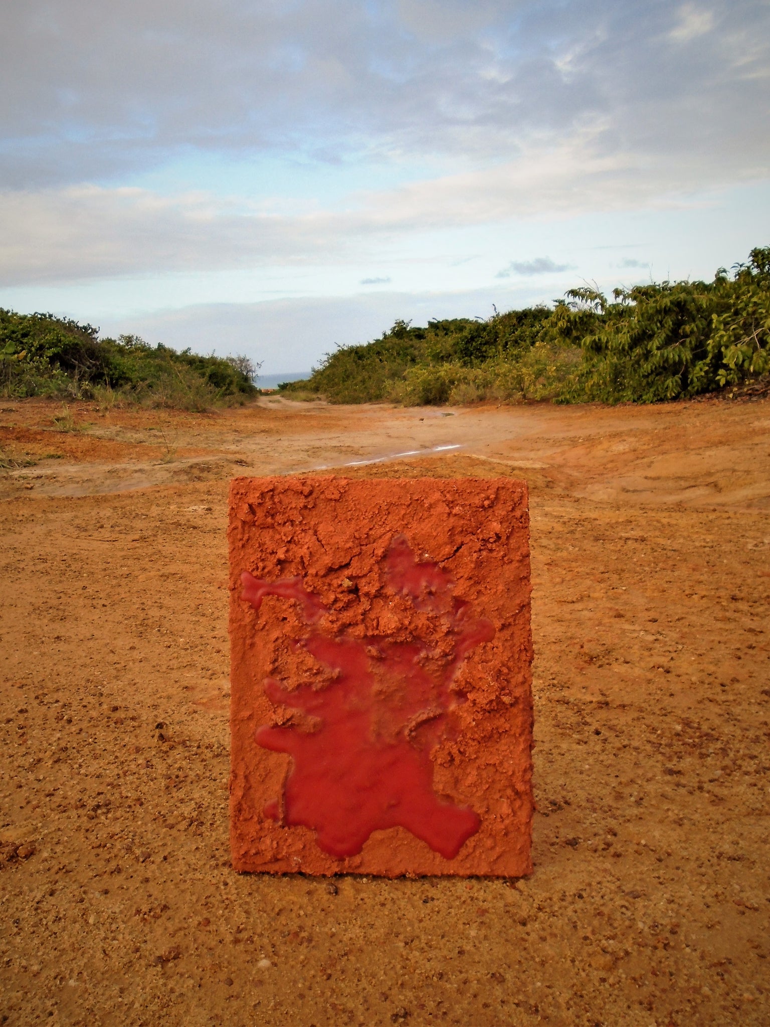 Possíveis e invisíveis paisagens