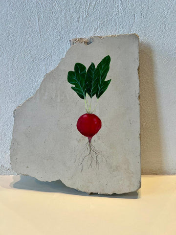 Colheita sobre concreto