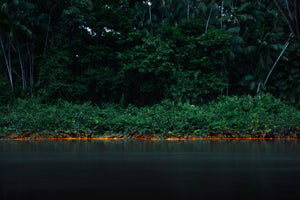 Cintilante III